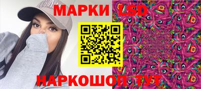 крисы Пенза