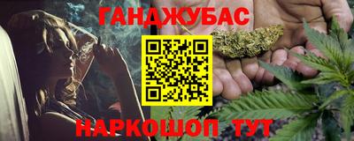 крисы Пенза