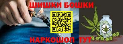 крисы Пенза