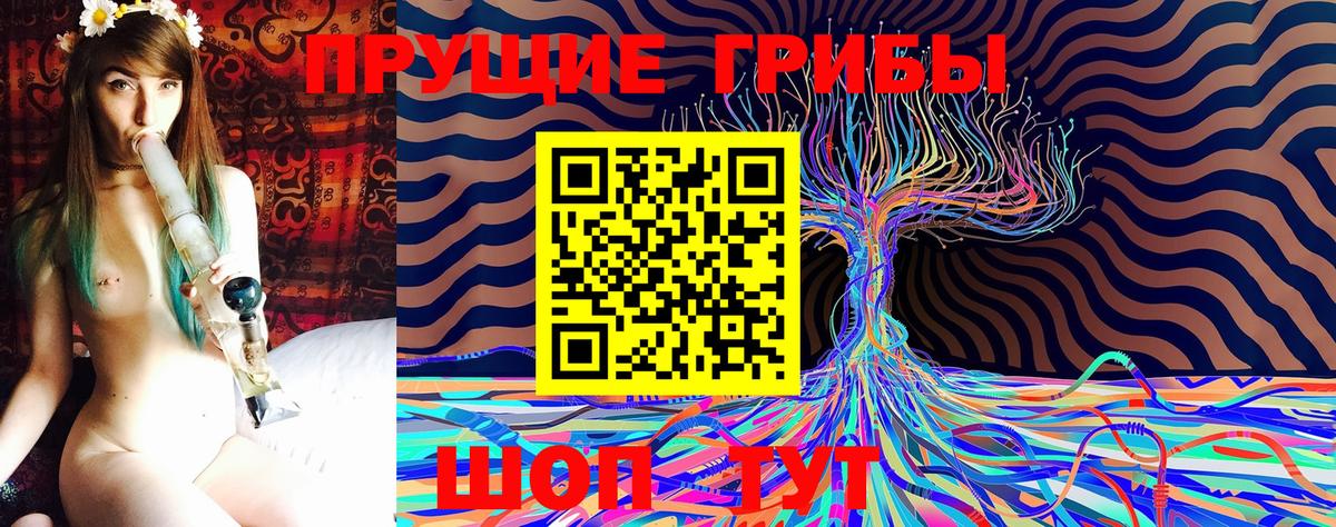 Псилоцибиновые грибы Cubensis Соликамск